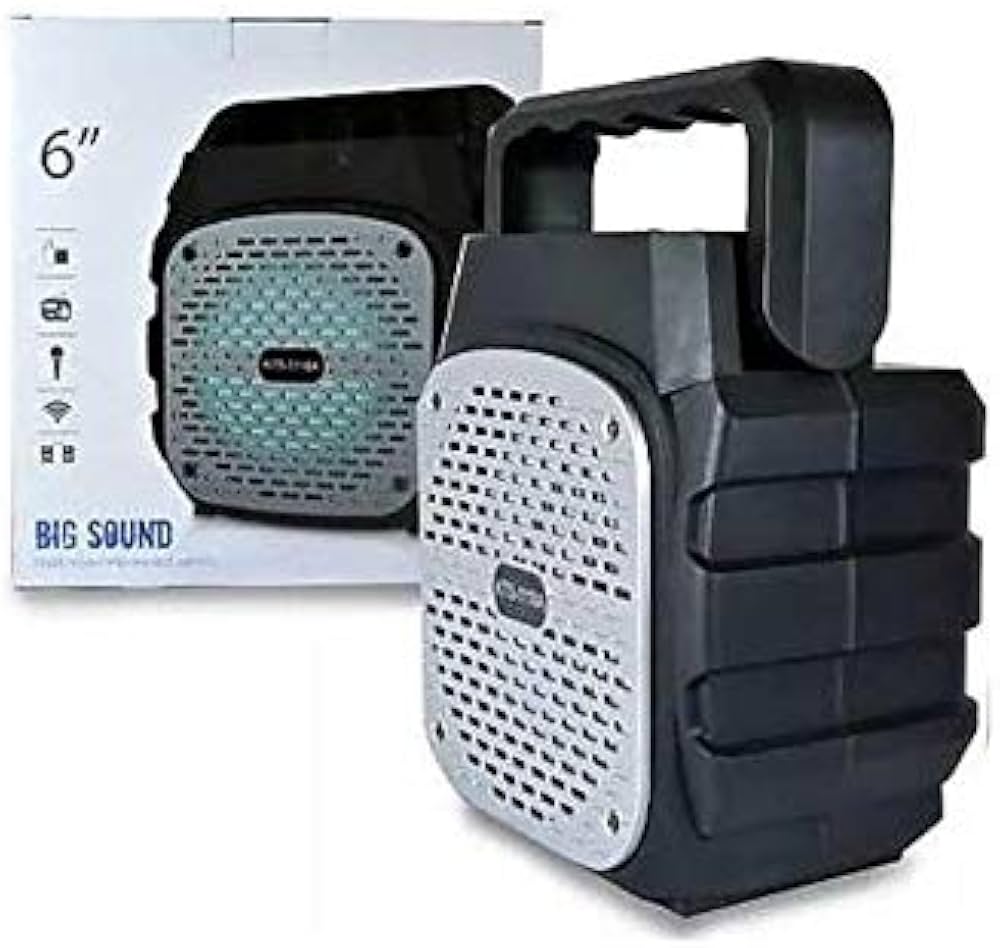 6.5 بوصة مكبر صوت محمول بمقبض مدمج GTS-2420