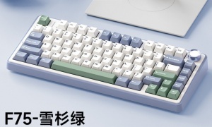 AULA F75 Keybored